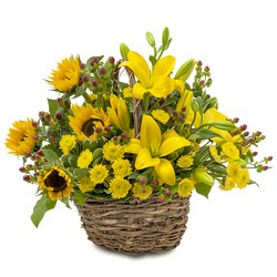 Sunset Basket from Joseph Genuardi Florist in Norristown, PA