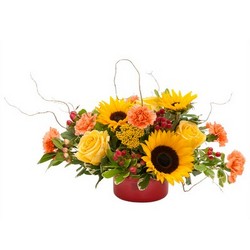 Harvest Garden from Joseph Genuardi Florist in Norristown, PA