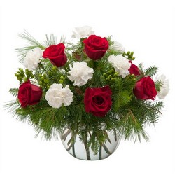 Winter Tidings from Joseph Genuardi Florist in Norristown, PA