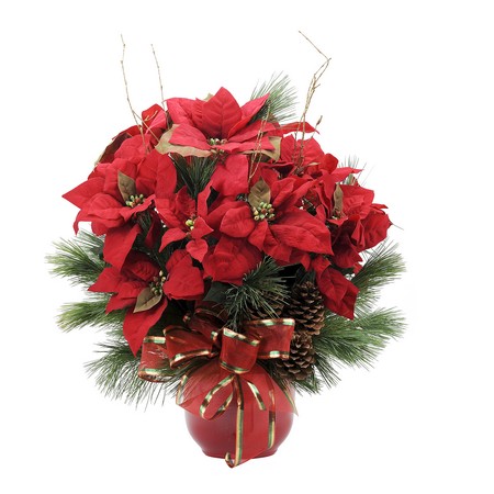 Grand Poinsettia from Joseph Genuardi Florist in Norristown, PA