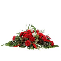 Tidings of Joy from Joseph Genuardi Florist in Norristown, PA