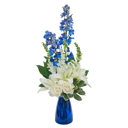 Blue Vibrations from Joseph Genuardi Florist in Norristown, PA