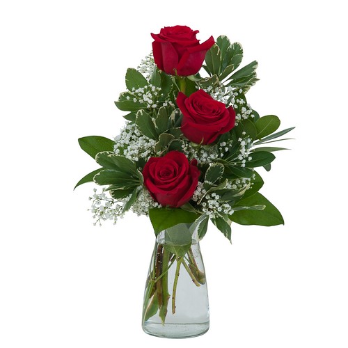 Simply Roses from Joseph Genuardi Florist in Norristown, PA