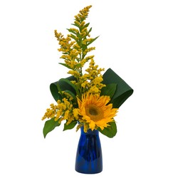 Simply Sunflower from Joseph Genuardi Florist in Norristown, PA