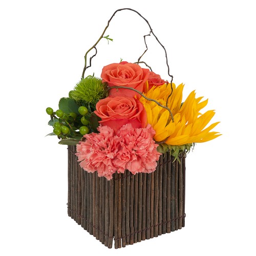 Simply Natural from Joseph Genuardi Florist in Norristown, PA