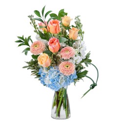 Creamsicle Delight from Joseph Genuardi Florist in Norristown, PA