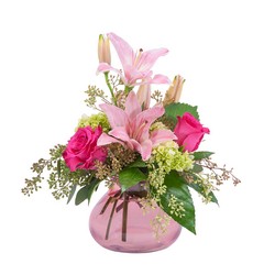 Oh, Beauty from Joseph Genuardi Florist in Norristown, PA