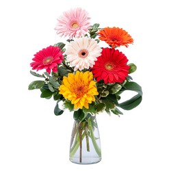 Colorful! from Joseph Genuardi Florist in Norristown, PA