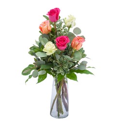Six Roses from Joseph Genuardi Florist in Norristown, PA