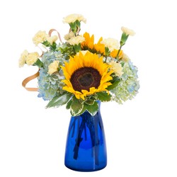 Good Morning Sunshine from Joseph Genuardi Florist in Norristown, PA