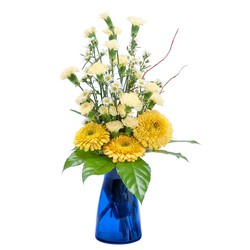 Nature's Smile from Joseph Genuardi Florist in Norristown, PA