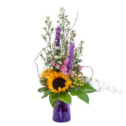 Wildflower Welcome from Joseph Genuardi Florist in Norristown, PA