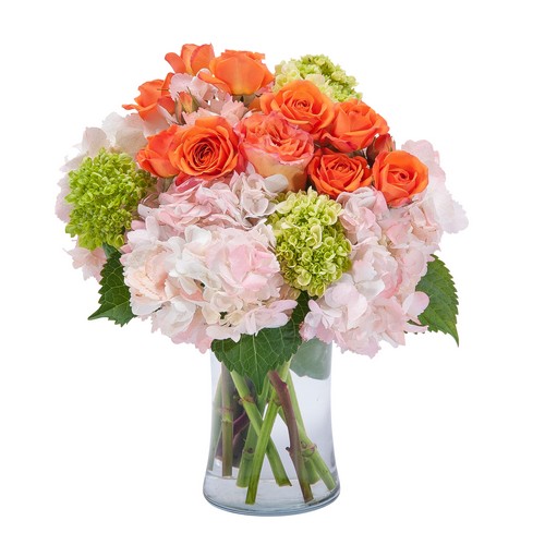 Beauty in Blossom from Joseph Genuardi Florist in Norristown, PA