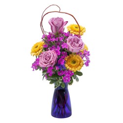 Sweet Whisper from Joseph Genuardi Florist in Norristown, PA