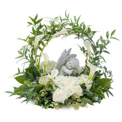 Dreaming with Angels from Joseph Genuardi Florist in Norristown, PA