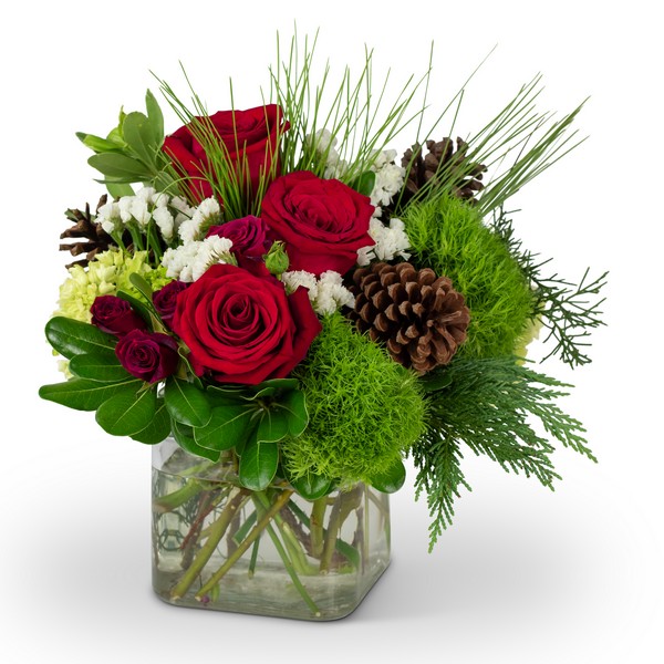 Wintertime Beauty from Joseph Genuardi Florist in Norristown, PA