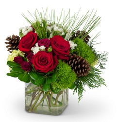 Wintertime Blooms from Joseph Genuardi Florist in Norristown, PA