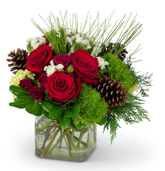 Wintertime Blooms from Joseph Genuardi Florist in Norristown, PA