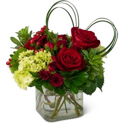 All My Love from Joseph Genuardi Florist in Norristown, PA