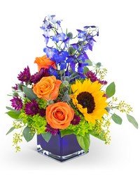 Season of Dreams from Joseph Genuardi Florist in Norristown, PA