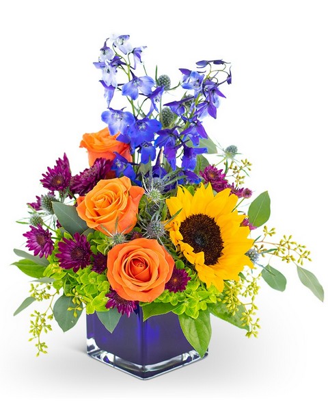 Season of Dreams from Joseph Genuardi Florist in Norristown, PA