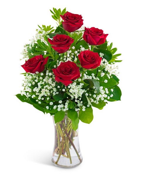 Six Red Roses and a Million Stars from Joseph Genuardi Florist in Norristown, PA