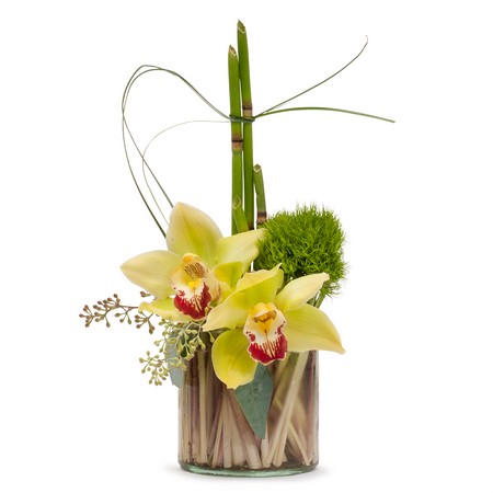 Simplicity from Joseph Genuardi Florist in Norristown, PA