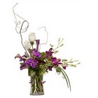 Kate from Joseph Genuardi Florist in Norristown, PA