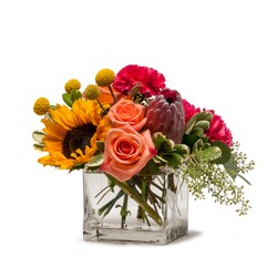 Flower Fun from Joseph Genuardi Florist in Norristown, PA