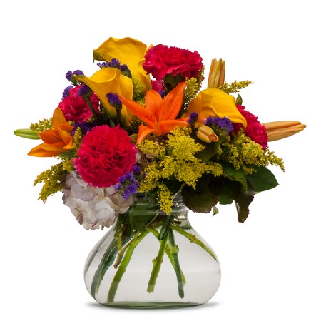 Hot Fever from Joseph Genuardi Florist in Norristown, PA