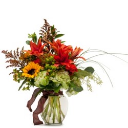 Autumn Breeze from Joseph Genuardi Florist in Norristown, PA