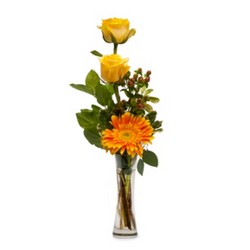 Bring Me Sunshine from Joseph Genuardi Florist in Norristown, PA