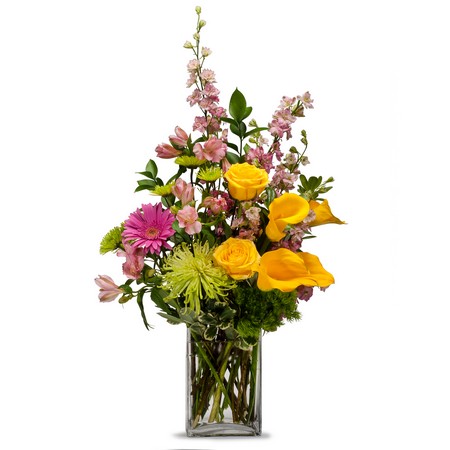 Cheerful from Joseph Genuardi Florist in Norristown, PA