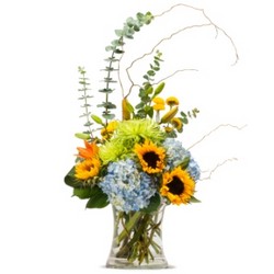 Favorite Gatherings from Joseph Genuardi Florist in Norristown, PA