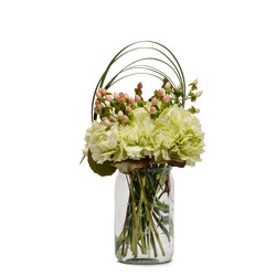 Mint from Joseph Genuardi Florist in Norristown, PA