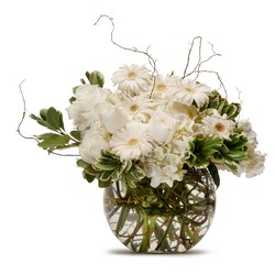 Naturally White from Joseph Genuardi Florist in Norristown, PA