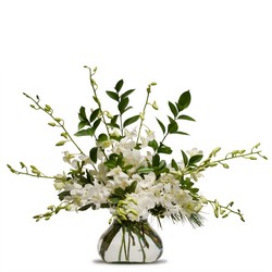 Simply White from Joseph Genuardi Florist in Norristown, PA