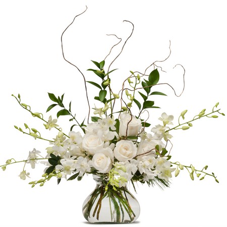 White Elegance from Joseph Genuardi Florist in Norristown, PA