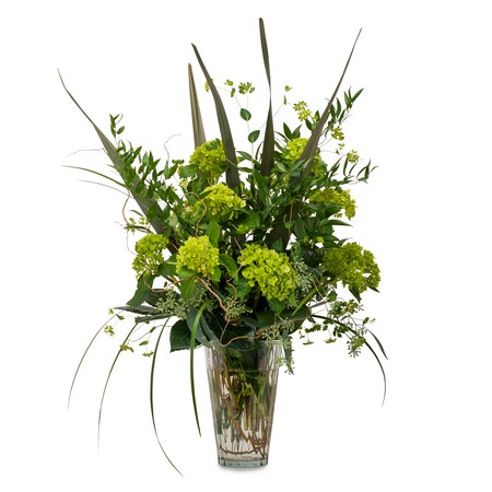 Natural Green from Joseph Genuardi Florist in Norristown, PA