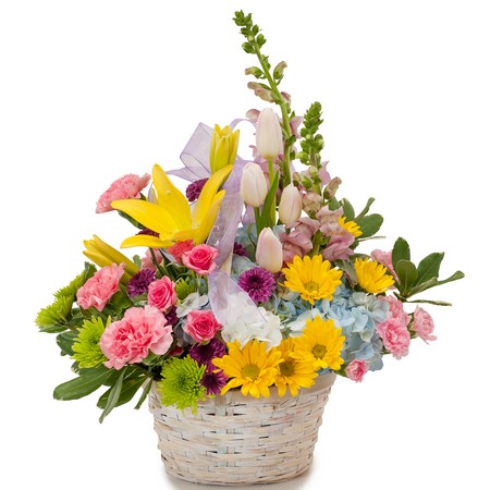 Spring has Sprung from Joseph Genuardi Florist in Norristown, PA