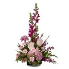Grammie from Joseph Genuardi Florist in Norristown, PA