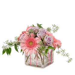 Pirouette from Joseph Genuardi Florist in Norristown, PA