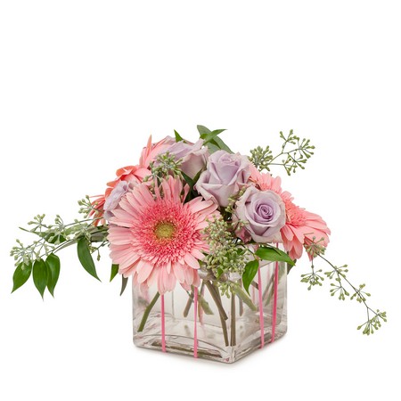 Pirouette from Joseph Genuardi Florist in Norristown, PA