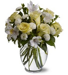 Precious Petals from Joseph Genuardi Florist in Norristown, PA